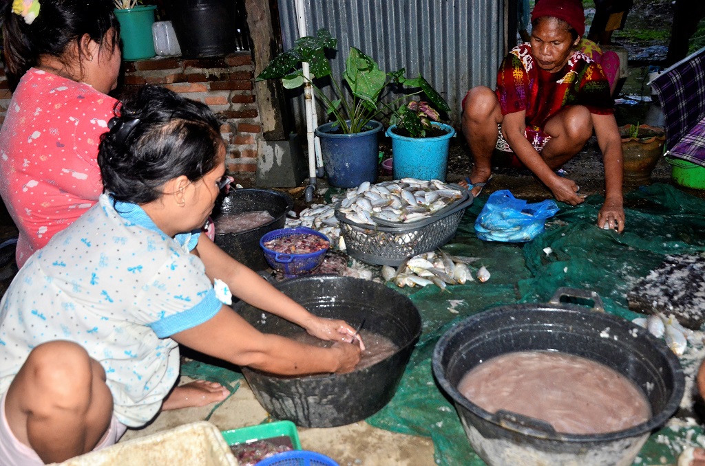 Hasil tangkapan ikan mulai berkurang sejak 2003 lalu seiring dengan tingginya aktvitas pengguanaan alat tangkap ikan trawl dan cantrang di perairan Desa Pancana, Kecamatan Tanete Rilau, Kabupaten Barru, Sulawesi Selatan.. Ikan awu-awu sebagai ikan khas daerah ini mulai menghilang. Kini, tak banyak ikan yang bisa diperoleh nelayan tiap harinya. Foto: Wahyu Chandra