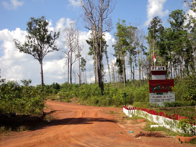 Lahan kelola perusahaan sawit di perbatasan Merauke, Indonesia dan PNG. Foto: Agapitus Batbual