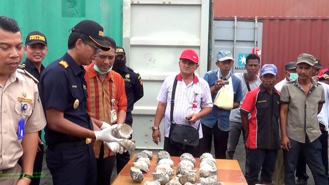 BBKSDA Sumut, Bea Cukai dan Karntina Ikan, memeriksa isi kontainer sitaan. Foto: Ayat S Karokaro