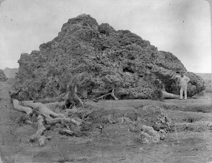 Bongkahan batu koral besar di dekat pantai Anyer yang terdampar akibat dorongan gelombang besar letusan Krakatau 1883. Foto: koleksi Tropenmuseum
