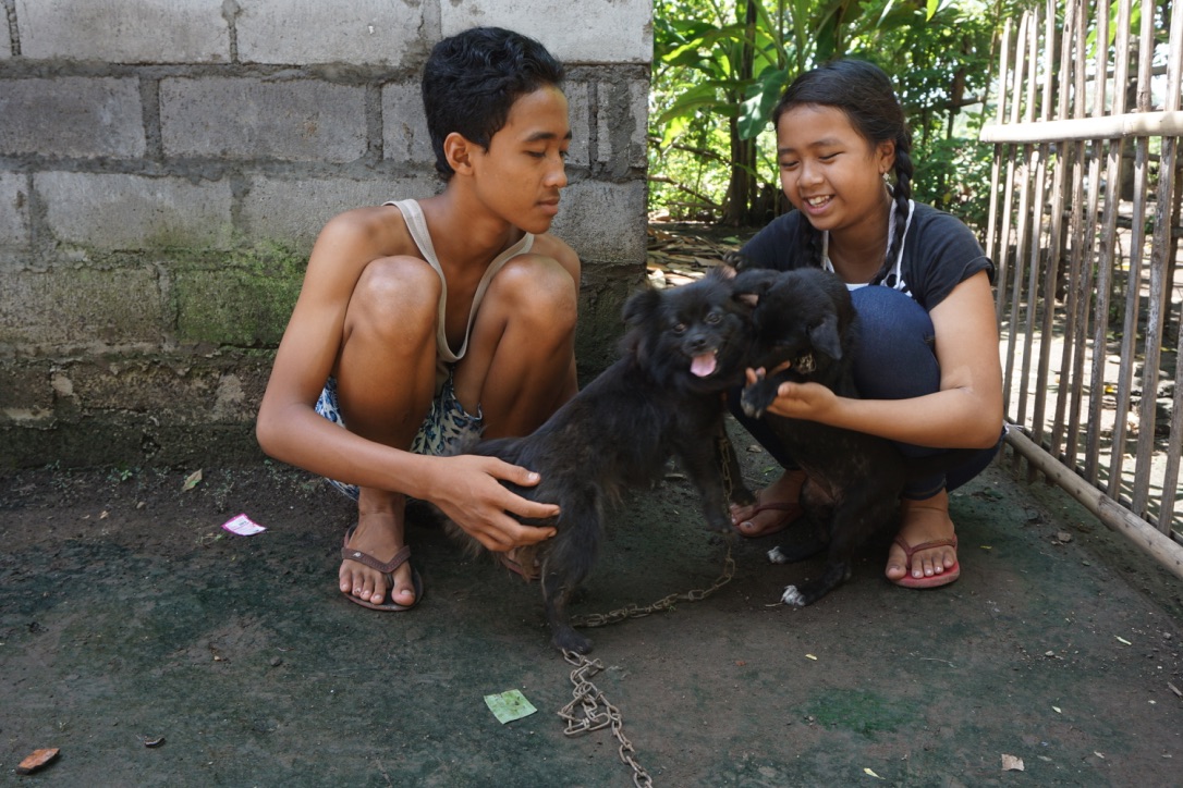 Dewi dan Wira bermain dengan dua ekor anjing telantar yang mereka selamatkan dan rawat. Foto : Anton Muhajir 