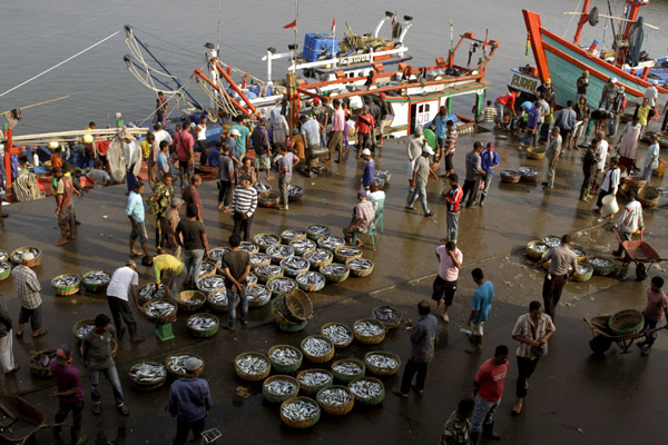 Tempat penampungan ikan yang menjadi tempat transaksi oenjualan ikan hasil tangkapan nelayan. Foto: Junaidi Hanafiah