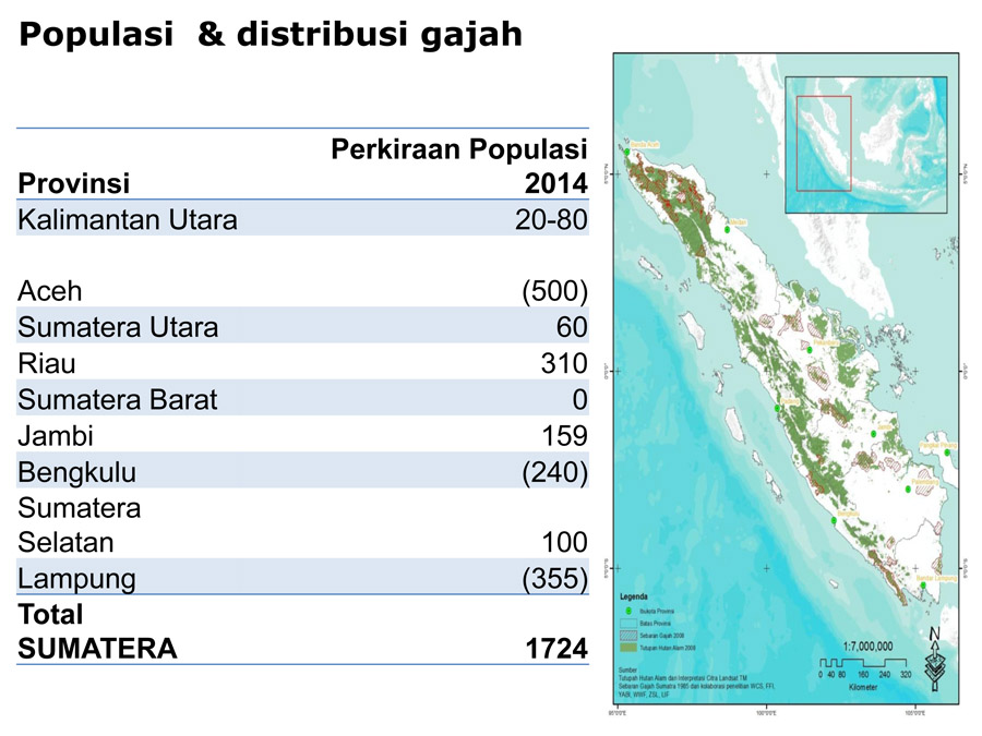 Perkiraan jumlah gajah sumatera dan sebarannya saat ini. Sumber: WWF-Indonesia