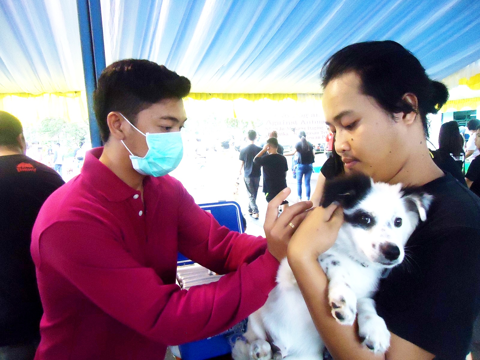 Pemberian vaksin rabies oleh Dinas Pertanian dan Peternakan Kota Tomohon, pada acara Fun Dog Festival yang diadakan oleh Dog Lovers Tomohon (DLT) di Kota Tomohon, Sulut, pada Sabtu (10/12/2016). Foto : Themmy Doaly