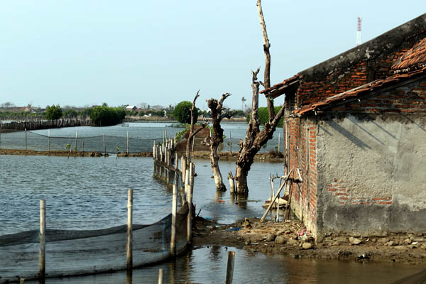 Rumah dan tambak di Demak, yang rusak akibat genangan air laut. Foto: Wetlands