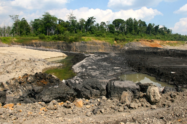 Keruk-keruk batubara di Jambi. Foto: Perkumpulan Hijau