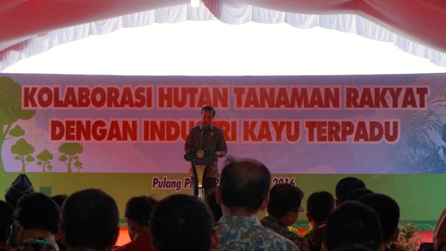 Presiden Joko Widodo memberikan sambutan dalam acara Kolaborasi Hutan Tanaman Rakyat dengan Industri Kayu Terpadu di Kalimantan Tengah. Foto: Lusia Arumingtyas
