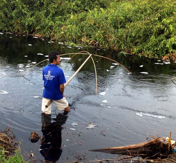 Sebelum dijadikan konsesi perkebunan, Sepucuk merupakan kawasan lumbung ikan bagi warga Kayuagung maupun Pedamaran. Foto: Taufik Wijaya