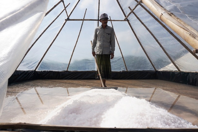 Arifin sedang mengkristalkan air payau di tambak yang beratap agar bisa terus produksi saat musim hujandi Dusun Mencorek, Kecamatan Brondong, Lamongan, Jawa Timur. Siasat pelestari garam rakyat sekaligus menghijaukan tambak dengan bakau. Foto Anton Muhajir