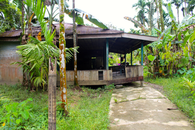 Salah satu rumah di SIberut Utara, yang bergeser karena diterjang banjir. Pemilik rumah pun pergi meninggalkan rumah dan kebun mereka, pindah ke kampung sebelah. Foto: Vinolia