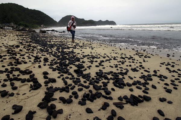 Batubara milik pabrik semen yang tumpah di Pantai Lhoknga, Aceh Besar. Aceh. Foto: Junaidi Hanafiah