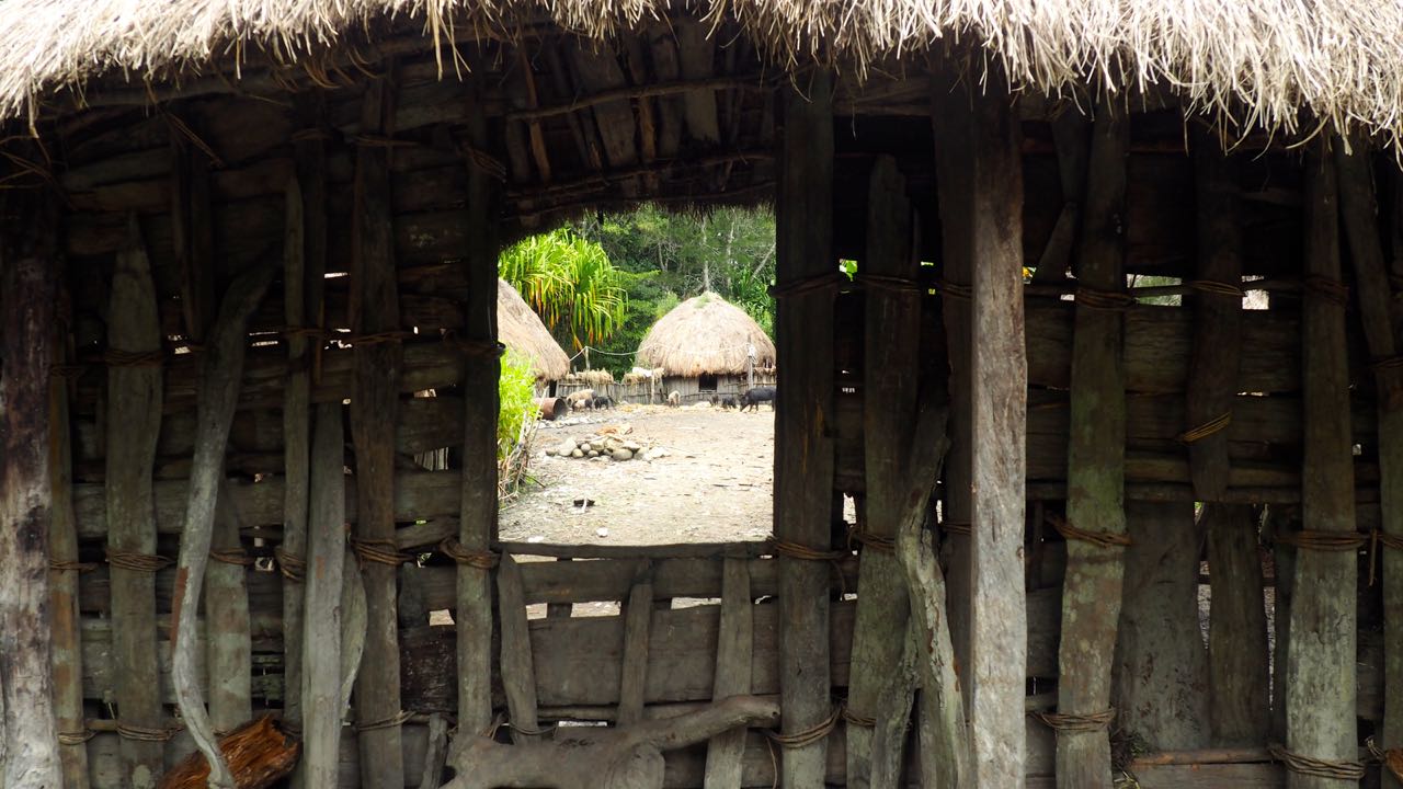 Rumah adat tradisional atau honai yang berbentuk bulat. Foto: Wahyu Mulyono