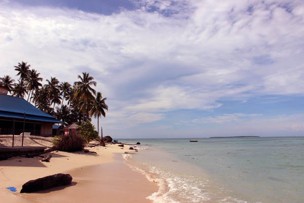 Pantai di Pulau Derawan yang perlahan mengalami abrasi. Foto: Yovanda