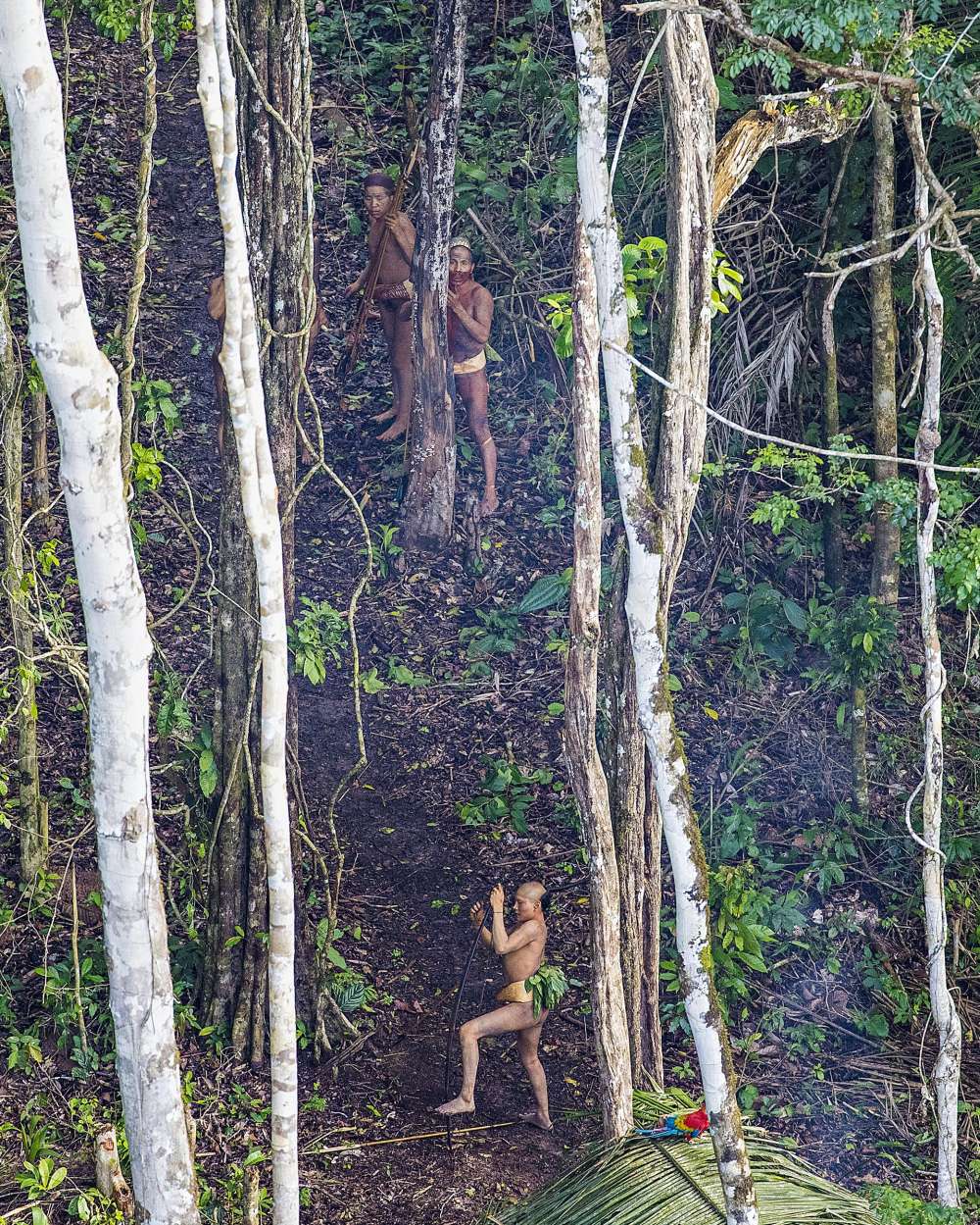 Inilah suku asli di Amazon yang hidup di wilayah hutan dan belum tersentuh dunia moderen. Foto: Ricardo Stuckert 