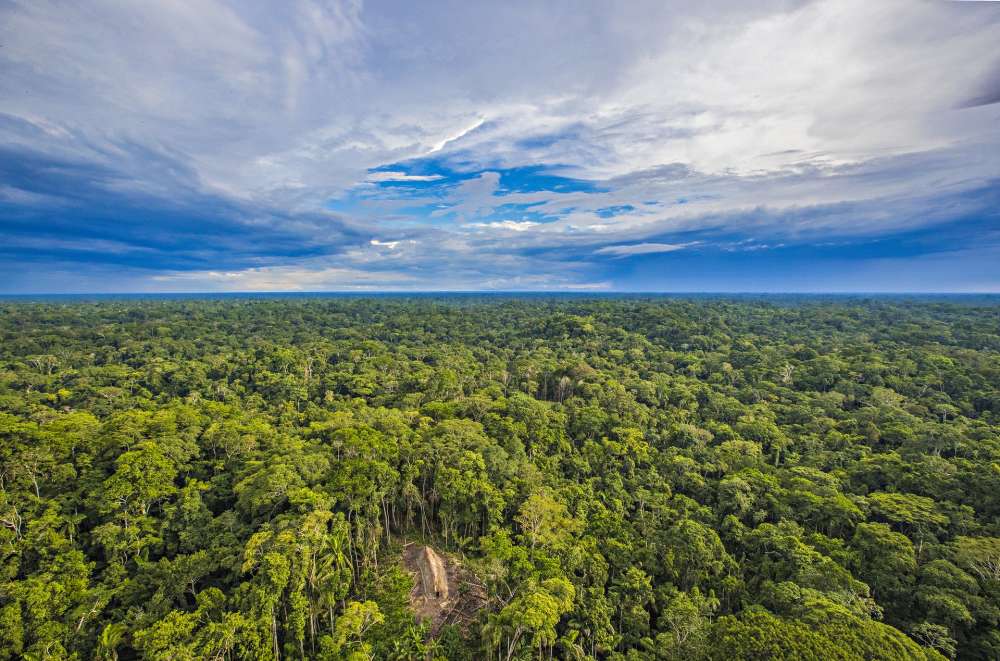 Hutan tempat suku ali Amazon ini hidup perlahan mulai didekati penambangan. Foto: Ricardo Stuckert 