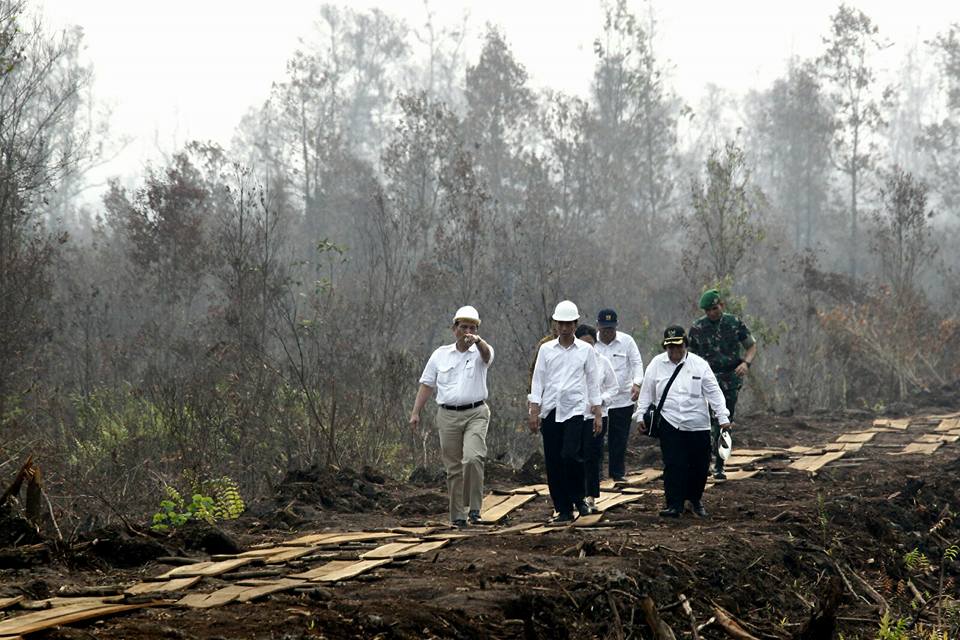 Antisipasi Kebakaran Hutan Dan Lahan 2017 Berikut Arahan