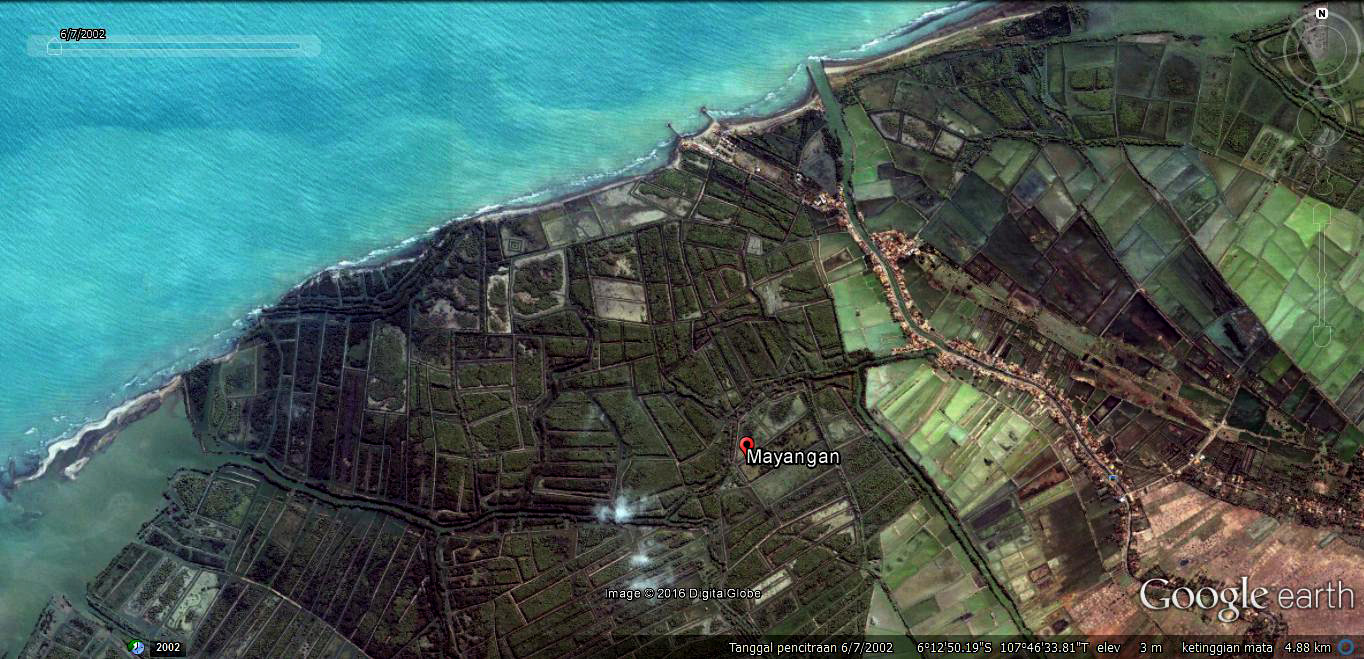 Kondisi pesisir Pantai Utara (Pantura) di Desa Mayangan, Kecamatan Pamanukan, Kabupaten Subang tahun 2002. Nampak jelas kondisi hutan mangrove masih banyak. foto: Google Earth