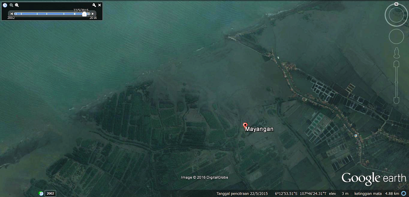 Kondisi pesisir Pantai Utara (Pantura) di Desa Mayangan, Kecamatan Pamanukan, Kabupaten Subang tahun 2015. Nampak jelas kondisi hutan mangrove sebagian besar dalam kondisi rusak parah. foto: Google Earth