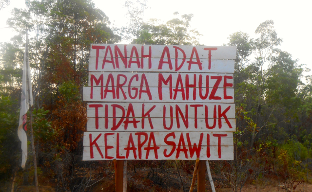 Penolakan kehadiran sawit di Papua. Foto: Agapitus Batbual