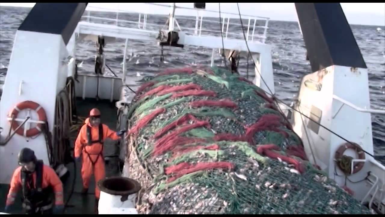 Kapal yang menggunakan pukat hela (trawl) untuk menangkap ikan. Foto : youtube