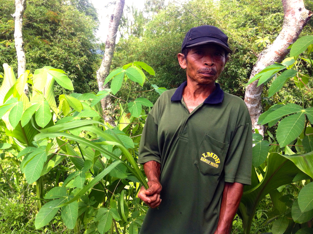 Slamet, petani Bugelan, memperlihatkan jenis rumput yang juga dimakan monyet. Foto: Nuswantoro