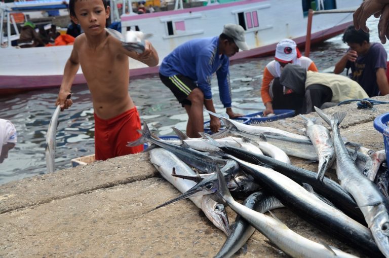 Kewenangan Ditarik ke Provinsi, Efektivitas Pengawasan di