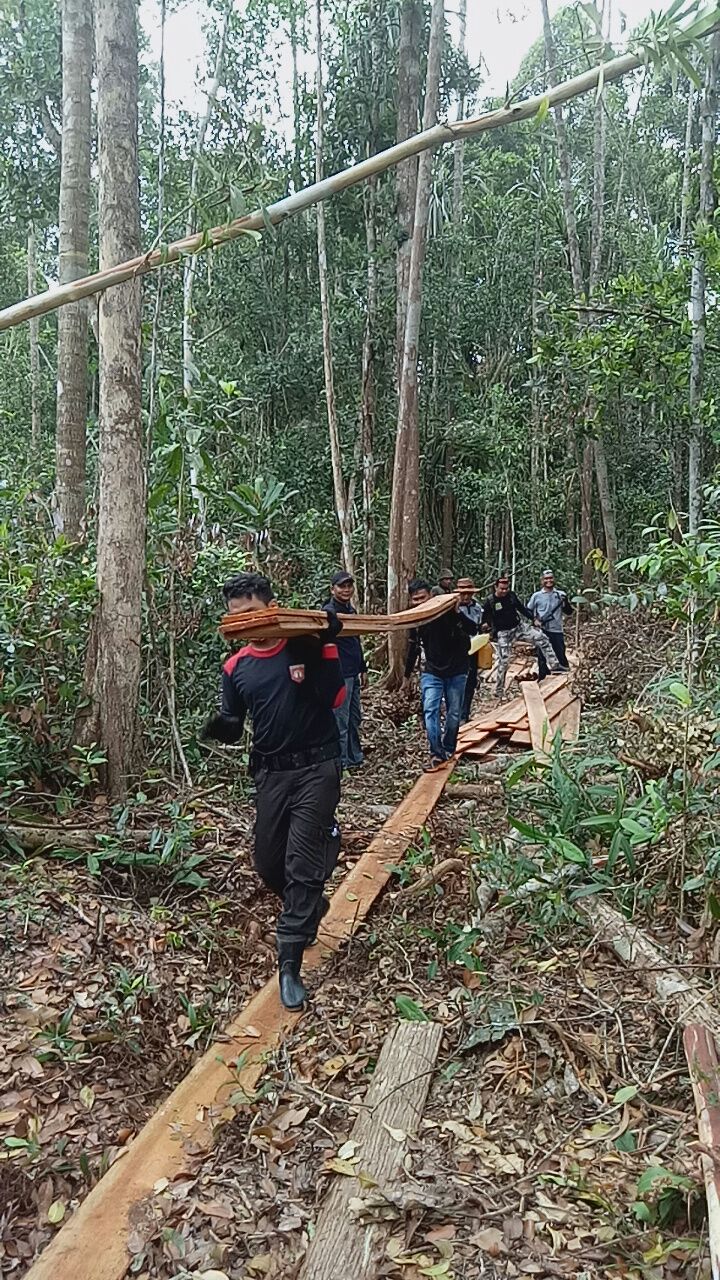 Gerak Cepat Aparat Dalam Pemberantasan Pembalakan Liar Di Riau