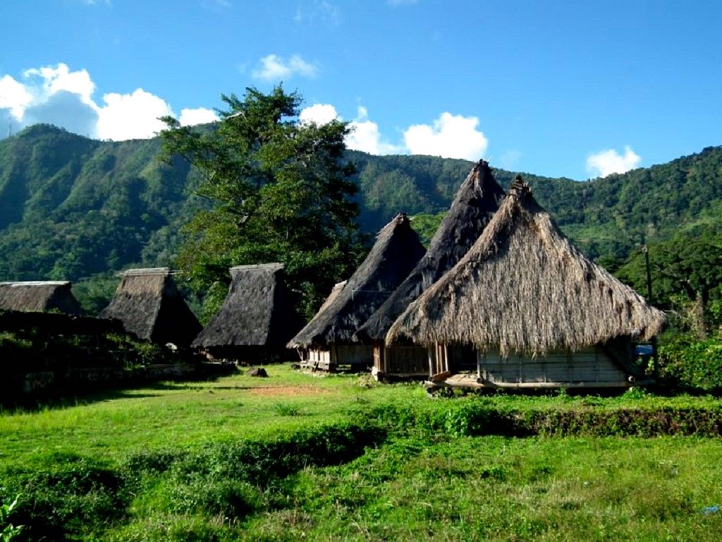 Wologai, Kampung Adat Keren yang Telah Berusia 800 Tahun - Mongabay.co.id :  Mongabay.co.id