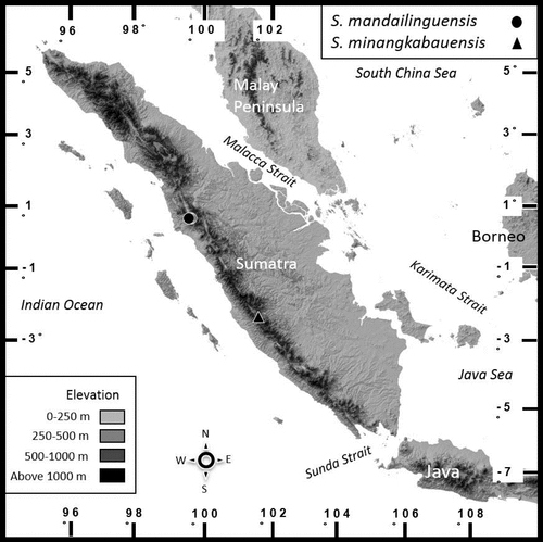 Peta Sumatera yang menunjukkan keberadaan S. mandailinguensis dan S. minangkabauensis | Sumber: Jurnal Herpetologica