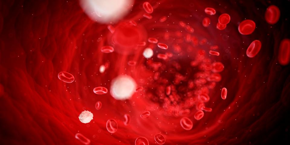 Para peneliti mengisolasi protein tertentu dalam darah untuk membuat obat yang bersifat antimikroba | Foto: Getty Image via The Sun