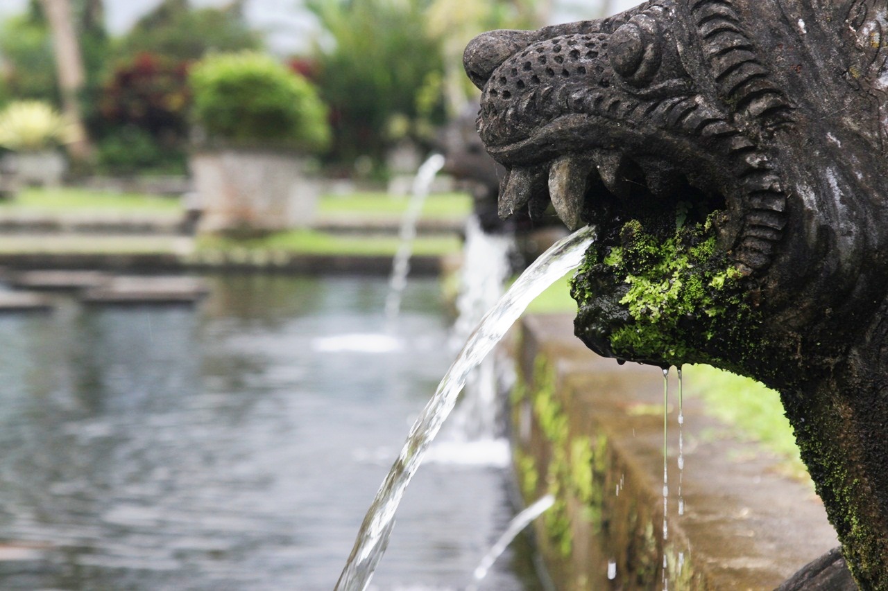 Air berkualitas dari pegunungan dialirkan ke kolam dan patung-patung di Taman Tirtagangga, Karangasem, Bali, lalu mengairi persawahan di sekitar desa | Foto: Anton Muhajir