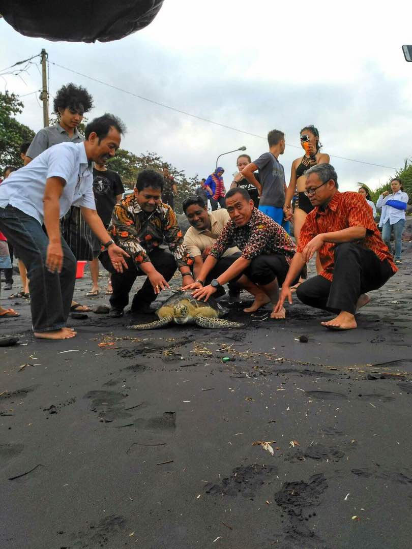 Kelompok perdagangan biner ruang hijau