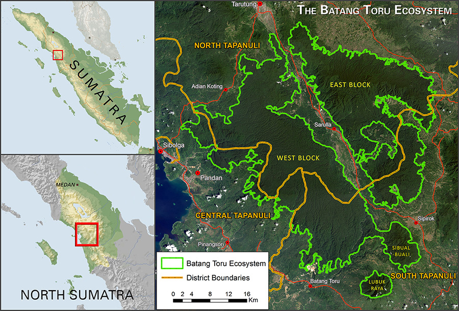 Ekosistem Batang Toru. Sumber peta: Batangtoru.org