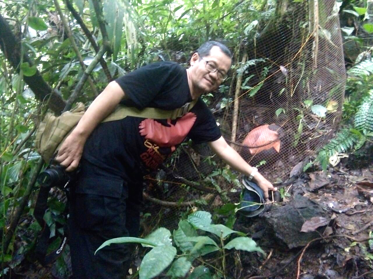 Agus Susatya, peneliti rafflesia dari universitas Bengkulu. Dari hasil penelitian dia di Cagar Alam, diiketahui rafflesia ini jenis tuan mudae bukan arnoldi | Foto: Vinolia/ Mongabay Indonesia