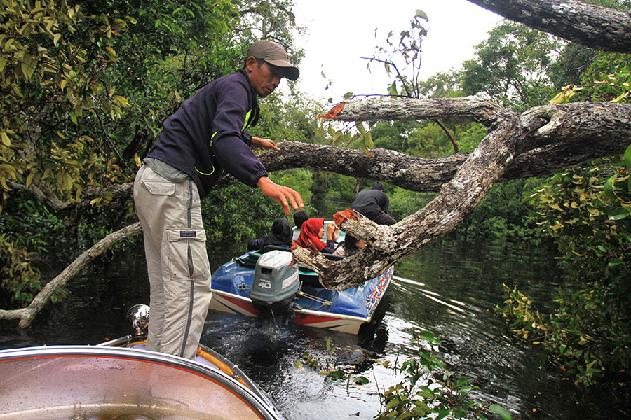 Pengemudi Speedboat berupaya melalui batang kayu yang menghalangi perjalanan menuju Lupak Emang yang merupakan kawasan penangkapan ikan. Foto: Hs Poetra