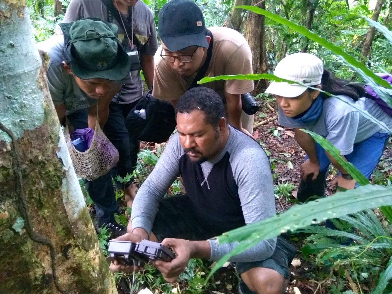 Pemasangan kamera jebak untuk memantau ekidna dan berbagai jenis mamalia pegunungan Cyclops | Foto: Chris Paino/Mongabay Indonesia