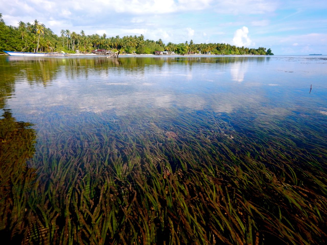 Foto: Padaido, Negeri Indah yang Terhampar di Bibir Pasifik - Mongabay.co.id : Mongabay.co.id