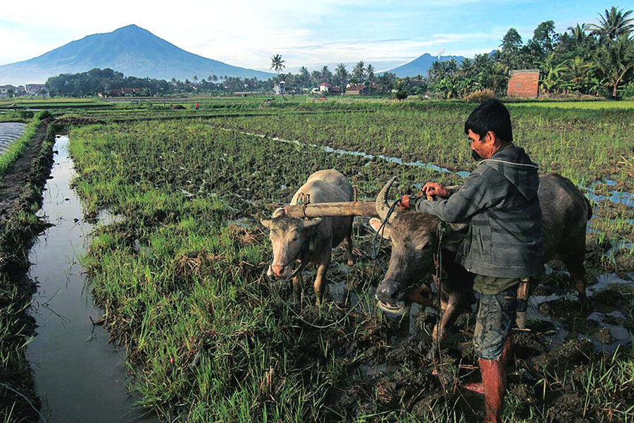 Kenapa indonesia disebut negara agraris