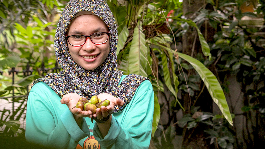 Eka Siswiyati, analis ficus dari Yayasan Ekosistem Lestari (YEL), menunjukkan buah ficus | Foto: Ayat S Karokaro/Mongabay Indonesia