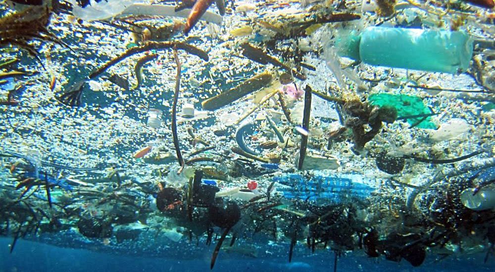 Sampah plastik di lautan | Foto: NOAA