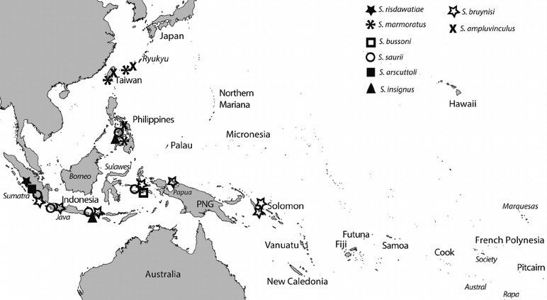Area persebaran spesies Schismatogobius di Indonesia. Peta: Cybium: international journal of ichthyology/Keith ET AL