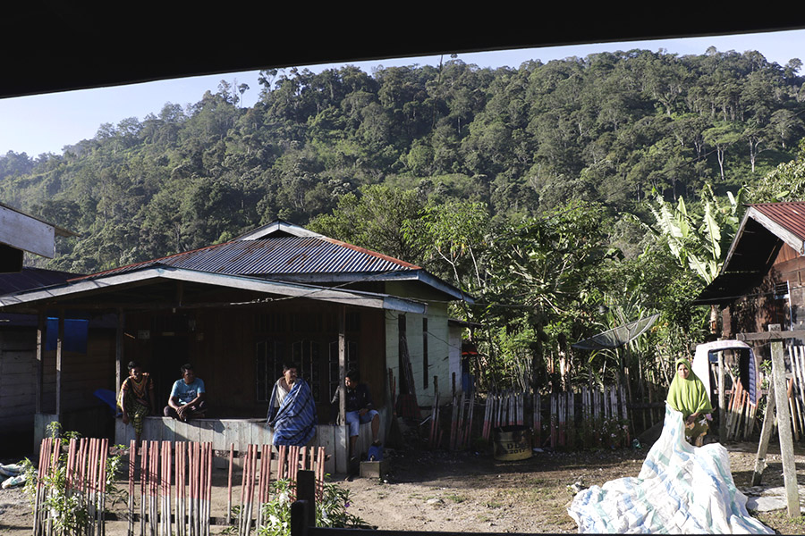 Kopi arabika yang digalakkan penanamannya di Desa Agusen dan Kabupaten Gayo Lues keseluruhan. Terlihat juga kehidupan masyarakat Agusen yang bersahabat dengan hutan Leuser | Foto atas dan bawah: Junaidi Hanafiah/Mongabay Indonesia