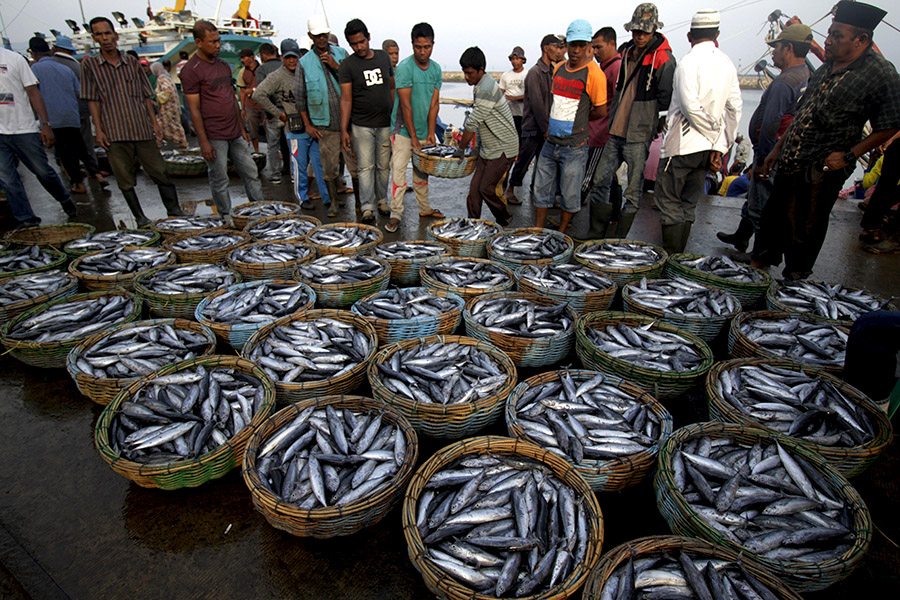 Benarkah Regulasi Impor Ikan Masih Longgar? - Mongabay.co.id