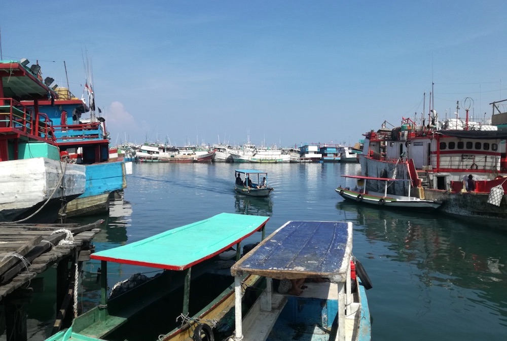 Tingginya aktivitas manusia berpengaruh terhadap kebisingan laut di perairan Bali selatan | Foto Anton Muhajir/Mongabay Indonesia