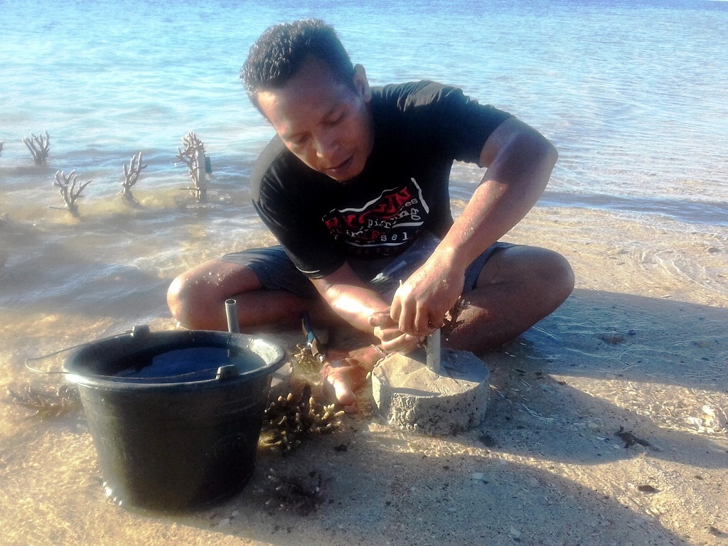 Wilfridus Masan sedang melakukan transplantasi terumbu karang di pantai kelurahan Ritaebang, Solor Barat, Flores Timur, NTT | Foto: Ebed de Rosary/Mongabay Indonesia