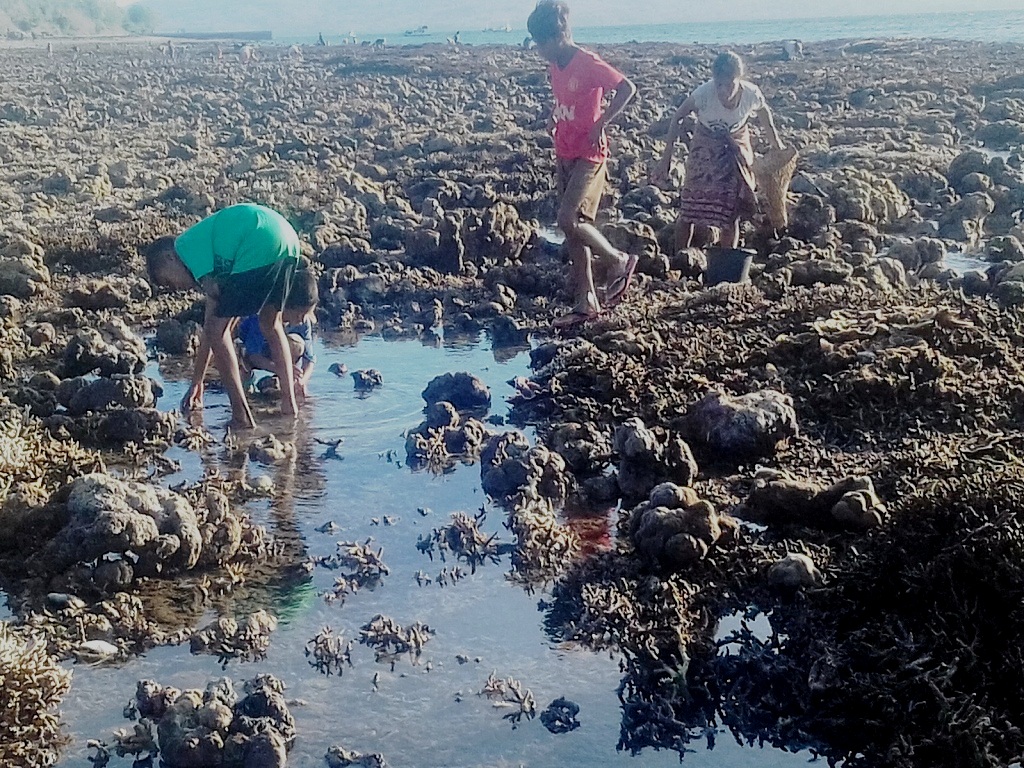 Warga setempat melakukan aktifitas bekarang –mencari ikan yang merusak terumbu karang– di perairan Ritaebang, Solor Barat, Flores Timur, NTT | Foto: Ebed de Rosary/Mongabay Indonesia.