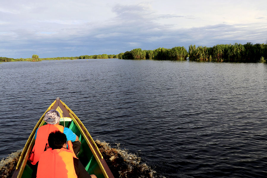 Menelusuri Sungai Sebangau menggunakan perahu merupakan wisata air yang mengasikkan. Foto: Foto: Junaidi Hanafiah/Mongabay Indonesia