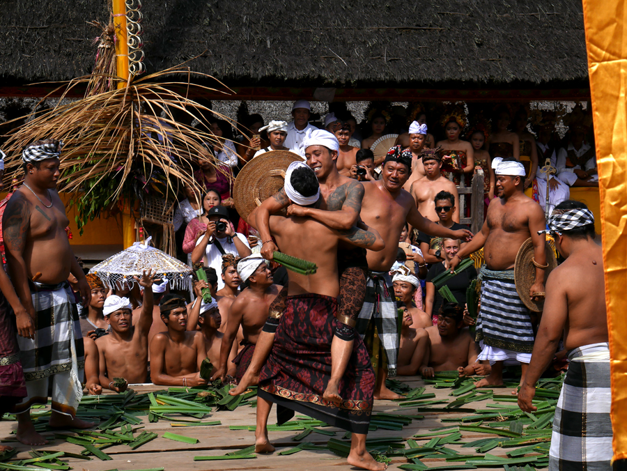 Ritual adat perang pandan yang dilakukan antar lelaki di Desa Tenganan Dauh Tukad, Karangasem, Bali, pada akhir Juni 2018 | Foto: Anton Wisuda/Mongabay Indonesia
