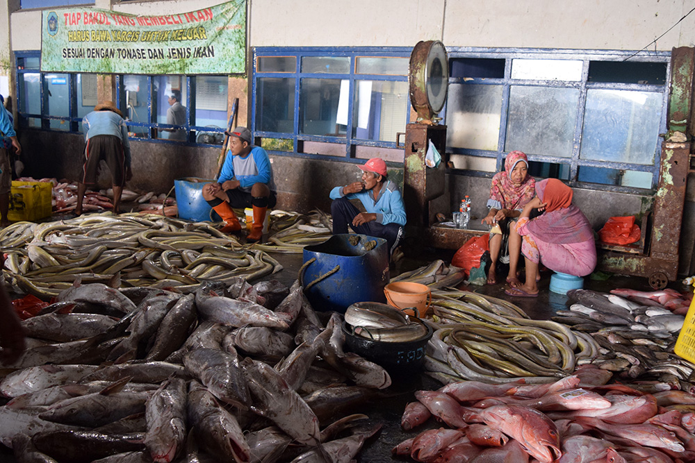 Sejumlah penjual ikan di Tempat Pelelangan Ikan Brondong, Lamongan, Jatim, menunggu pembeli Foto : Ahmad Muzakky/Mongabay Indonesia