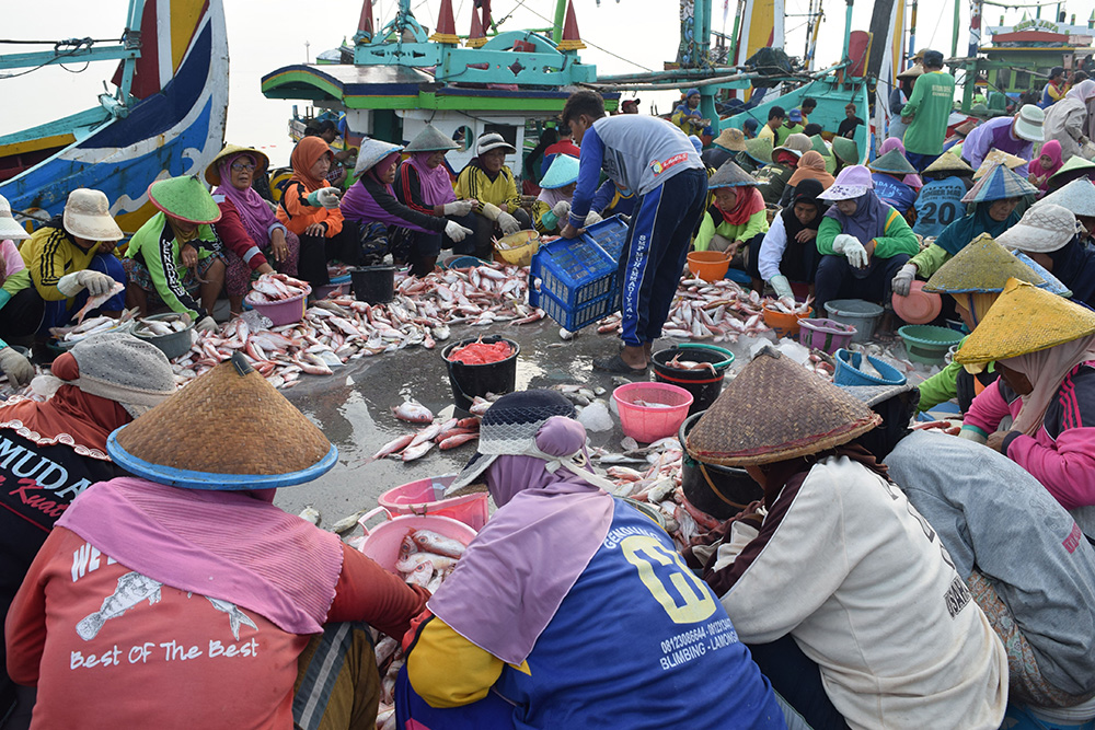 Aktivitas penyortiran ikan di dermaga Tempat Pelelangan Ikan Brondong, Lamongan, Jatim. Aktivitas ini banyak dilakukan oleh buruh perempuan. Foto : Ahmad Muzakky/Mongabay Indonesia